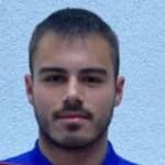 Portrett av Nikola Ćetković