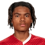 Portrett av Aaron Malouda
