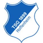 1899 Hoffenheim W logo